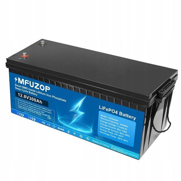 Аккумулятор MFUZOP LifePO4 12.8V 300Ah 3840Wh (Smart BMS) ДБЖ 643283 фото
